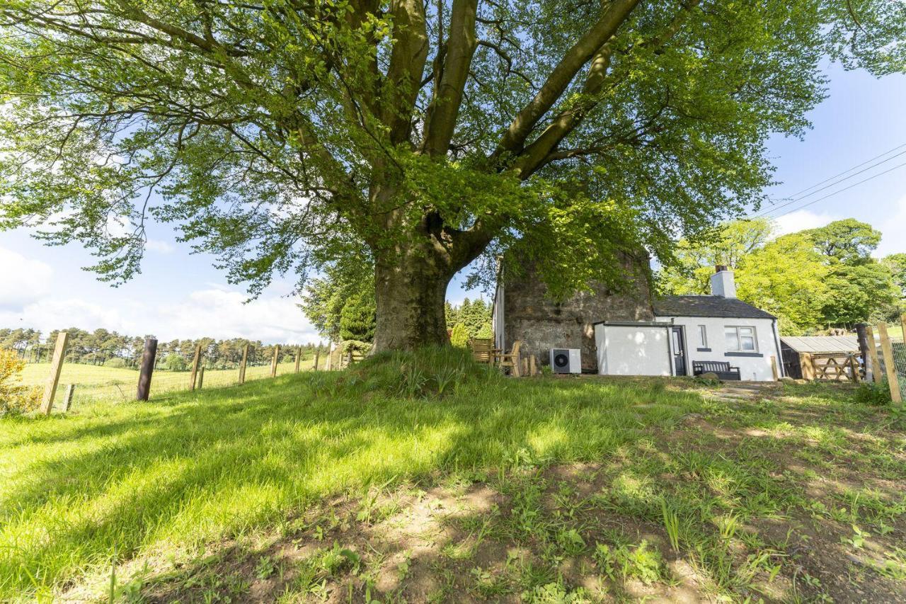 Wilsons Cottage Фалькирк Экстерьер фото